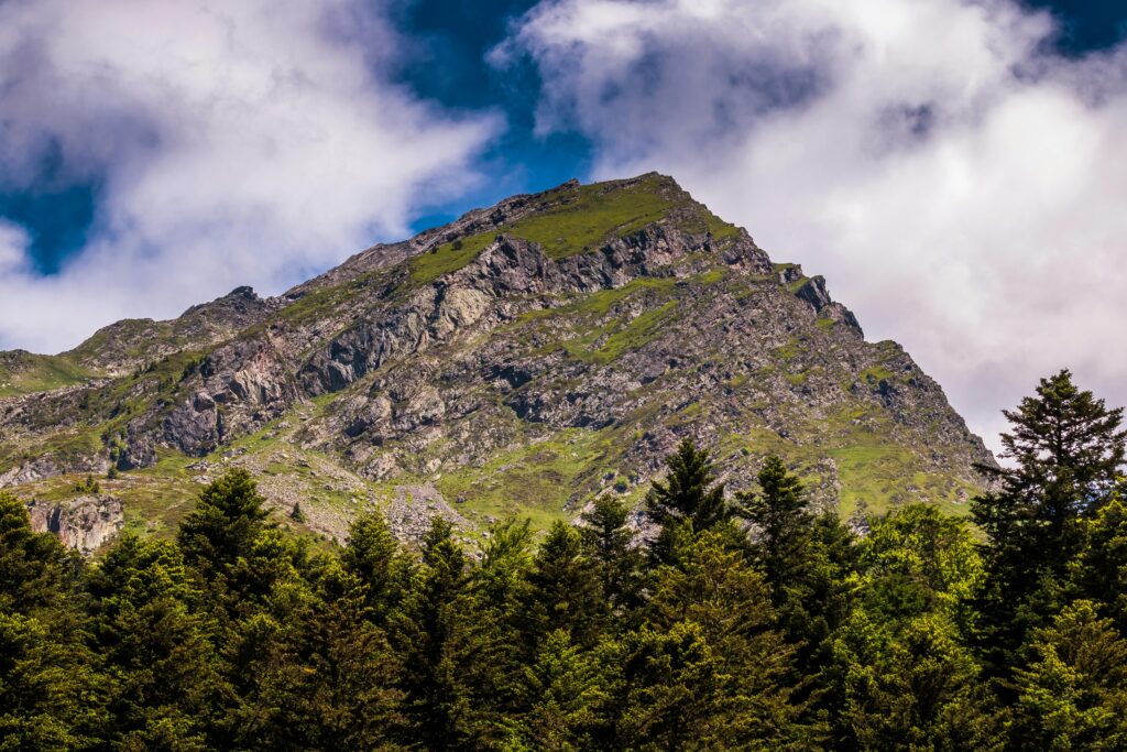 A landscape picture of a mountain, with trees in front of the mountain.